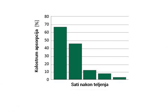 Slika 1: (a) Rani unos kolostruma postigao je bolji stepen apsorpcije imunoglobulina (preuzeto od Watermann, 1998.)