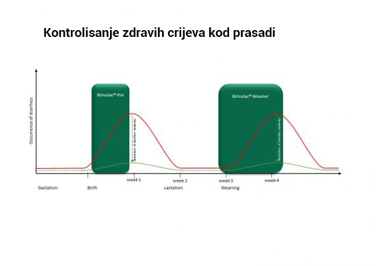 Bimulac® koncept može igrati ključnu ulogu u podržavanju crijevne mikrobiote i smanjenju dijareje